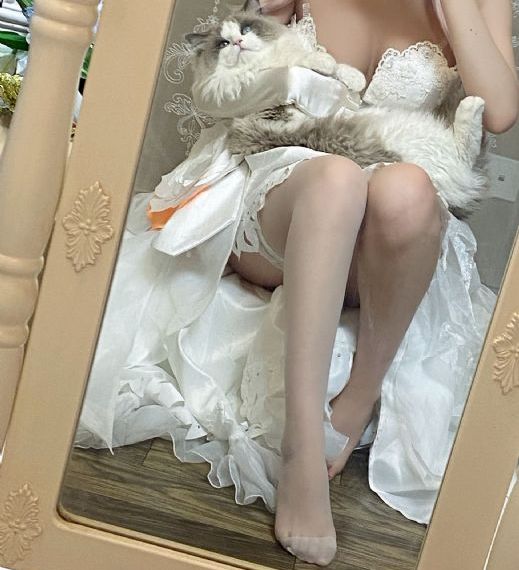 萌白酱在线播放