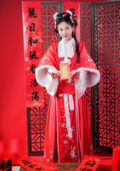 双重任务电视剧