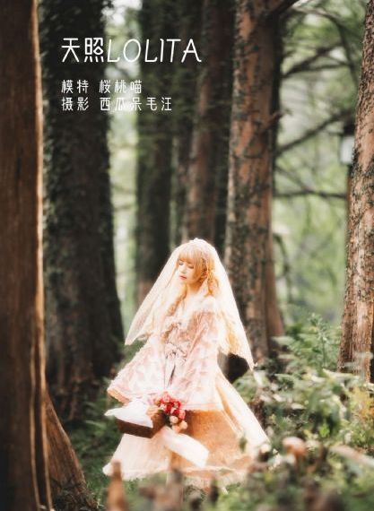 农家小寡妇电视剧