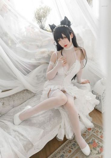 轮回电影在线观看免费完整版