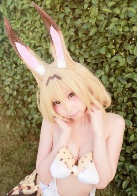 大河儿女电视剧免费观看