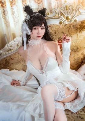 看护妇日记